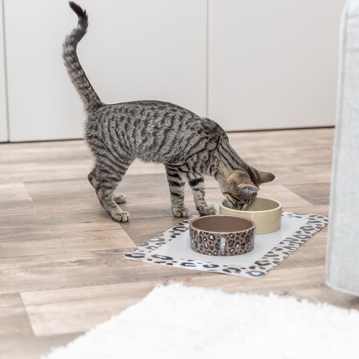 Trixie Ceramic Bowl Leo 0,3 l/ø 12 cm various